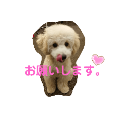 mimi_20200430123822