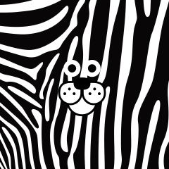 Coelho de zebra