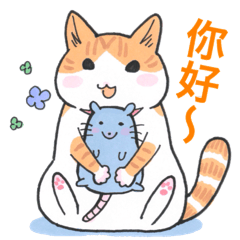 orange tabby cat Formosan