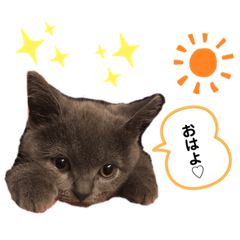 ken_20200430162542