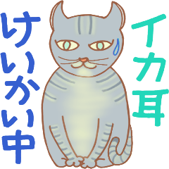 Cat true story 1 (Japanese)