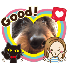 cocoa_20200430173759