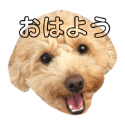 saki_20200430174606