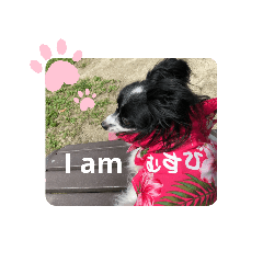 aoi_20200430144637