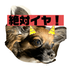 rin_20200430092946