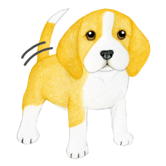 Beagle Sticker (English)
