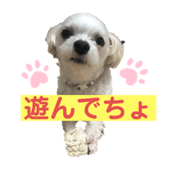 takashi_20200430132834