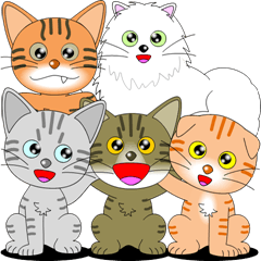 Various child cat