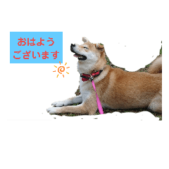 suzu_20200430193247
