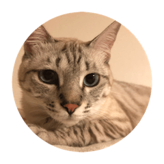 makoching_20200430232210