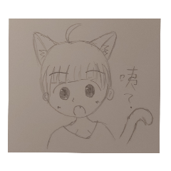 靈貓