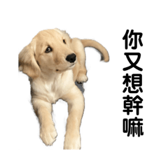 BuBu生活-第二季