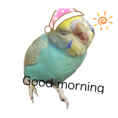 Nozomi_20200501004917