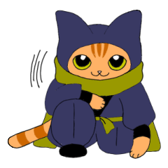 Expressive cats"Ninja"