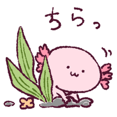 日常 ウーパールーパーさん Line スタンプ Line Store 日常 ウーパールーパーさん Line スタンプ Line Store