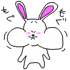 Saucy Rabbit4