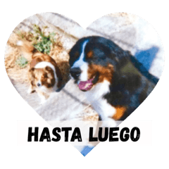 HIKARI_20200501012219