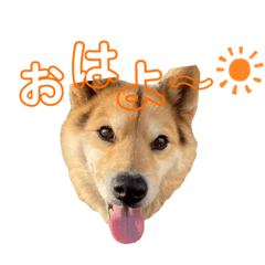 mimi_20200430233704