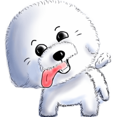 Everything about Bichon Frise "Noobie"