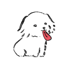 Heartwarming fluffy maltese (English)