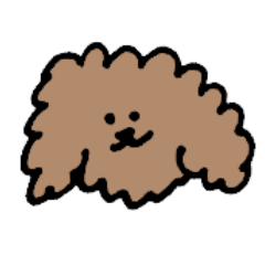 loose toy poodle.