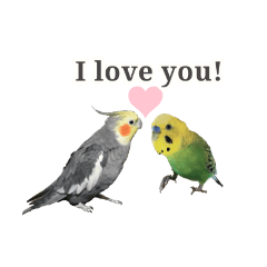 Yurina_20200501033635