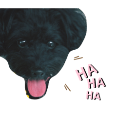 HIKARI_20200501100928