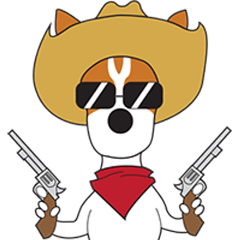 Django A Jack Russel Terrier