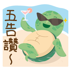 澎湖綠蠵龜的日常