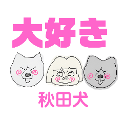 秋田犬　カッツと茶羽と三恵