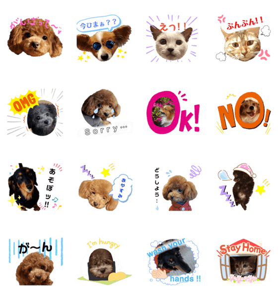 可愛い犬 猫 Lineクリエイターズスタンプ Stamplist