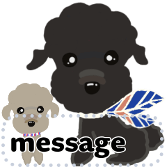 poodle message 2