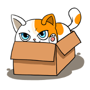 Salmon In The Box