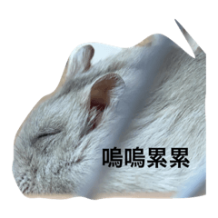 香淳無添加