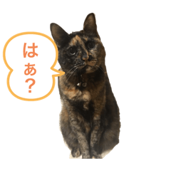 mizuki_20200501134443