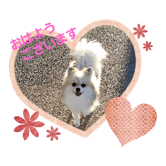 Kurumi_20200501211654