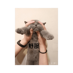kiki_20200504190058 – LINE stickers | LINE STORE