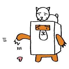 White box bear and cat