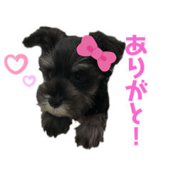 KAZUKI_20200501215331