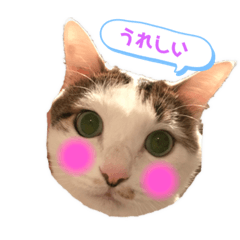CHIE_20200501212932