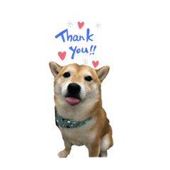 chiro_2020050122572682384158276