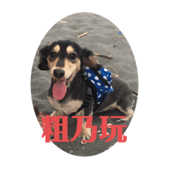 妹妹與雪碧日常2