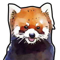 Watercolor red panda sticker