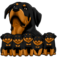 The Rottweilers.