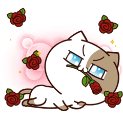 แมวเต้าหู้ดุ๊กดิ๊กๆ 2