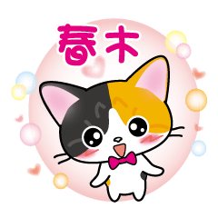 haruki's name sticker carol cat version