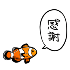 しゃべるカクレクマノミ Line スタンプ Line Store しゃべるカクレクマノミ Line スタンプ Line Store