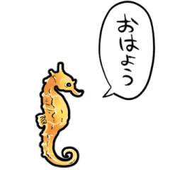 talking seahorse