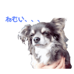 mii_20200502022318