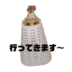 TONO_20200502150220